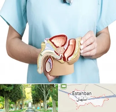 فوق تخصص دستگاه تناسلی مردان در استهبان