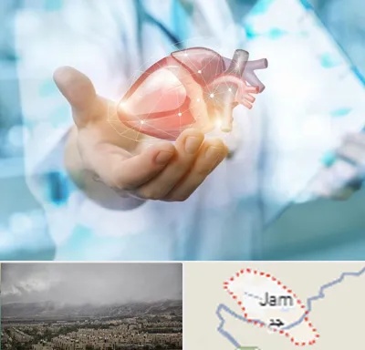 دکتر الکتروفیزیولوژی بالینی قلب در جم