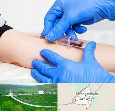 آزمایشگاه ازدواج در مشگین شهر