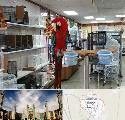 پرنده فروشی در آران و بیدگل