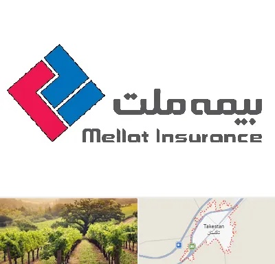 بیمه ملت در تاکستان