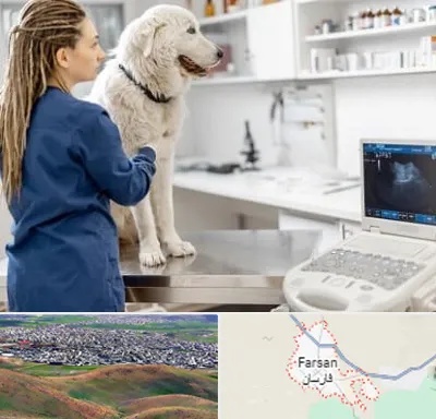 سونوگرافی سگ در فارسان