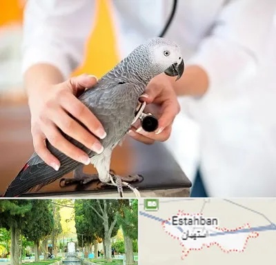 دامپزشکی پرندگان در استهبان