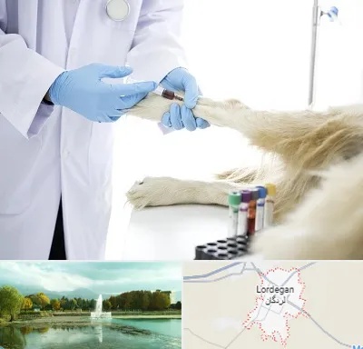 آزمایشگاه حیوانات در لردگان