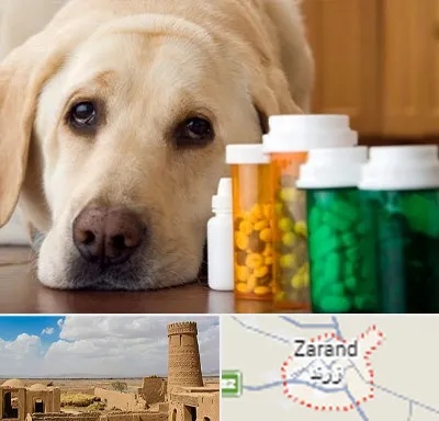 داروخانه دامپزشکی در زرند