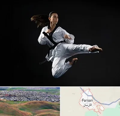 مربی رزمی خانم در فارسان