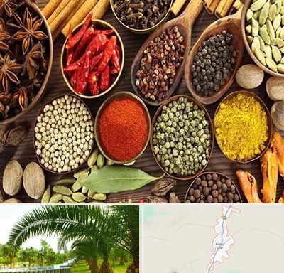 مرکز طب اسلامی در کهنوج