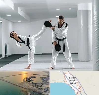 باشگاه رزمی در بندر کنگان