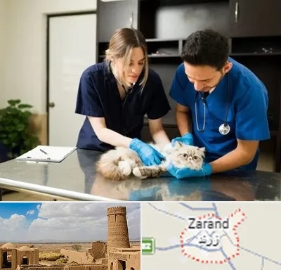 دامپزشکی سیار در زرند