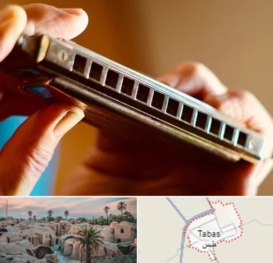 آموزشگاه سازدهنی در طبس