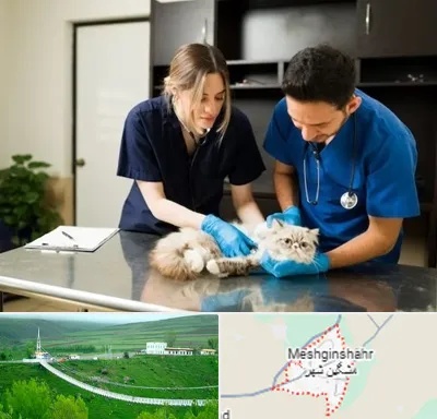 دامپزشکی سیار در مشگین شهر