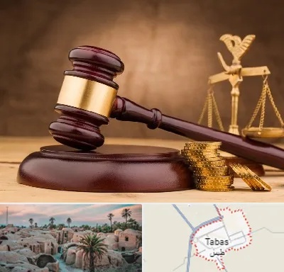 وکیل مالی در طبس