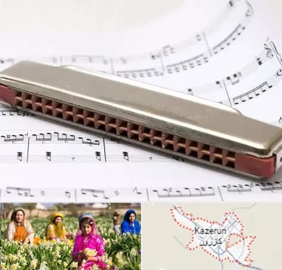 آموزشگاه ساز دهنی در کازرون