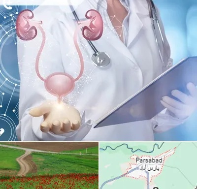 متخصص اورولوژی خانم در پارس آباد