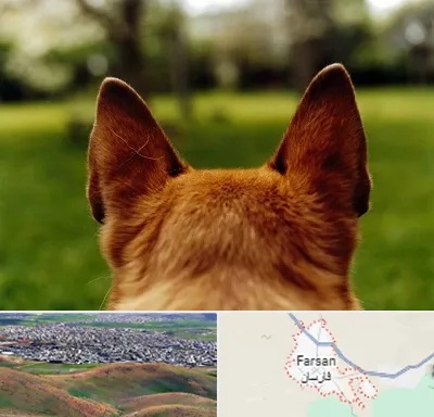 مرکز جراحی گوش سگ در فارسان