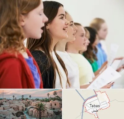 آموزشگاه صدا سازی در طبس