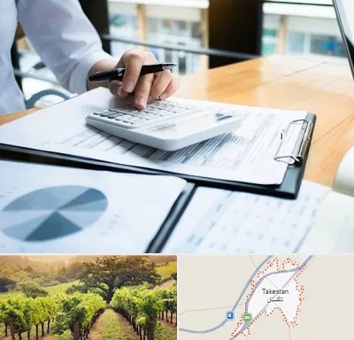 شرکت مالیاتی در تاکستان