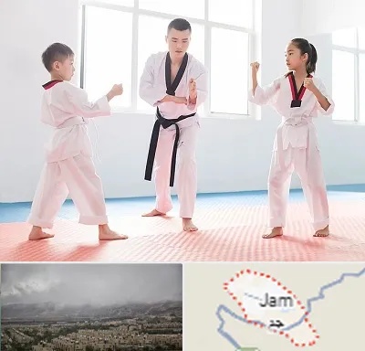 مربی رزمی در جم
