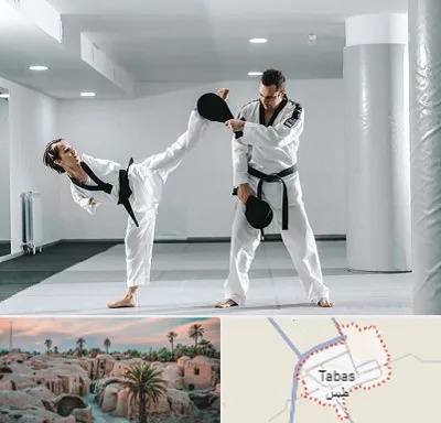 باشگاه رزمی در طبس