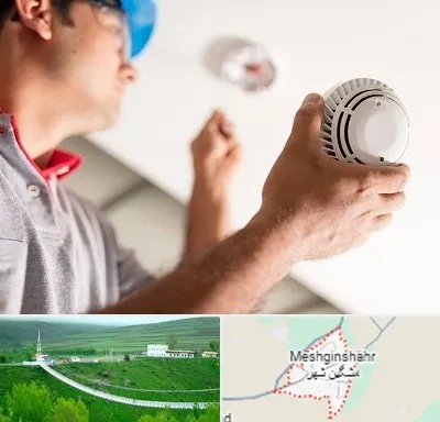 تعمیر دزدگیر در مشگین شهر