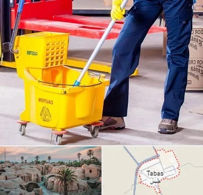 نظافت منزل در طبس