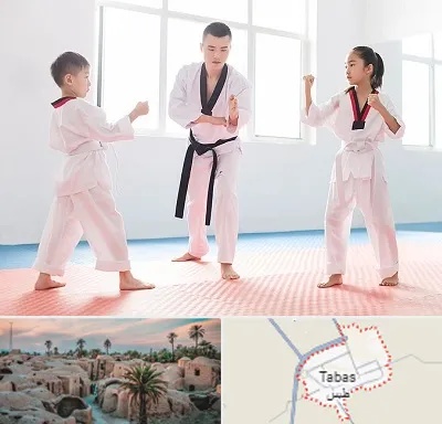 مربی رزمی در طبس