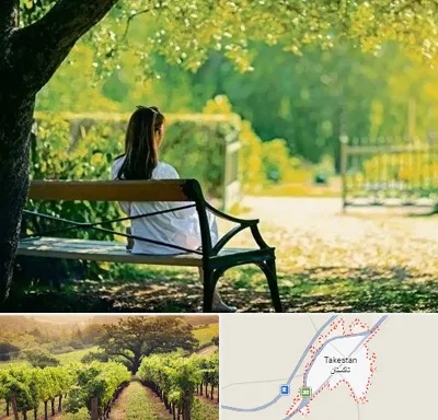 پارک بانوان در تاکستان