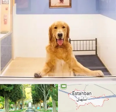 پانسیون حیوان خانگی در استهبان