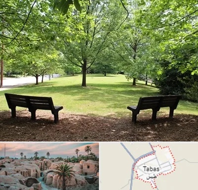 پارک در طبس