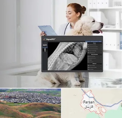 رادیولوژی حیوانات در فارسان