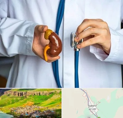 دکتر سرطان کلیه در عجب شیر