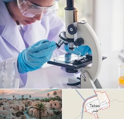 آزمایشگاه در طبس
