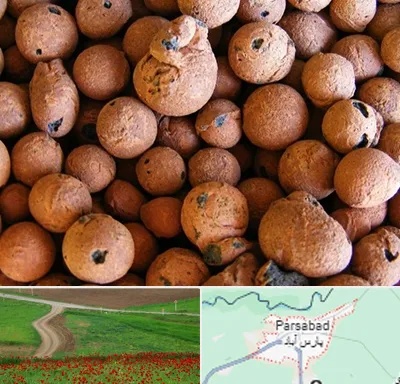 پوکه صنعتی در پارس آباد