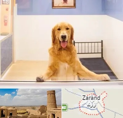 پانسیون حیوان خانگی در زرند