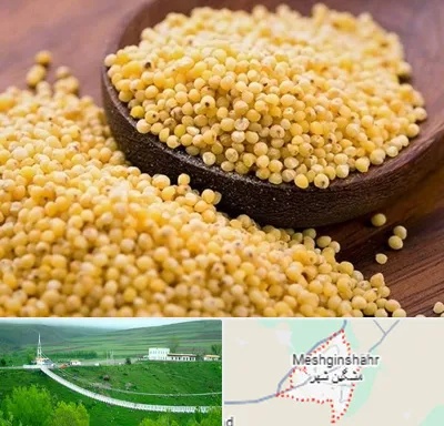 فروش ارزن در مشگین شهر