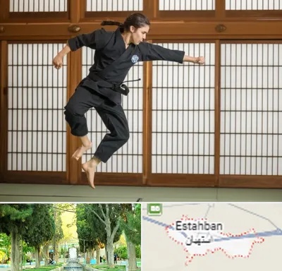 باشگاه نینجا در استهبان
