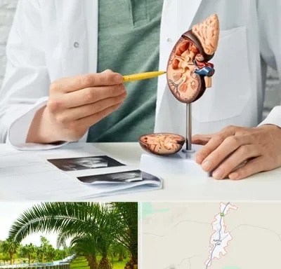 دکتر اورولوژیست در کهنوج