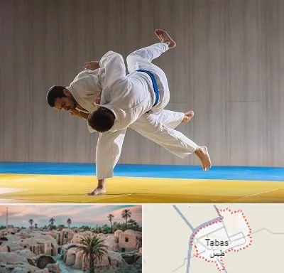 باشگاه جودو در طبس