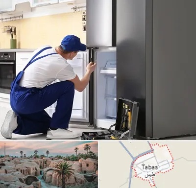 سرویس یخچال در طبس