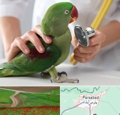 درمانگاه شبانه روزی پرندگان در پارس آباد