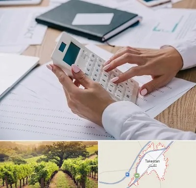 شرکت حسابرسی در تاکستان