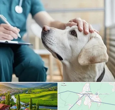 کلینیک دامپزشکی در لشت نشا