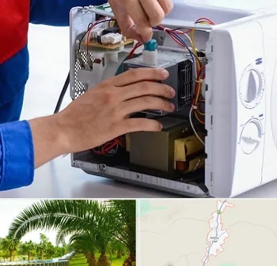 تعمیر مایکروفر در کهنوج