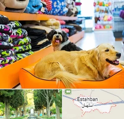 پت شاپ عمده در استهبان