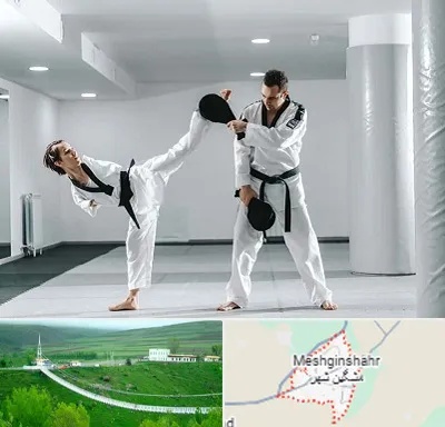 باشگاه رزمی در مشگین شهر