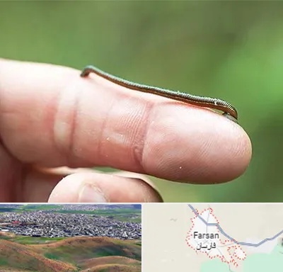 مرکز زالو درمانی در فارسان