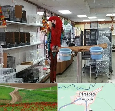 پرنده فروشی در پارس آباد
