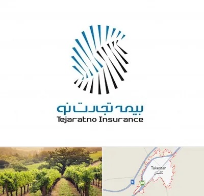 بیمه تجارت نو در تاکستان