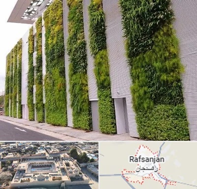دیوار سبز در رفسنجان