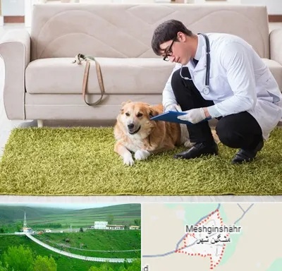 دامپزشکی در منزل در مشگین شهر